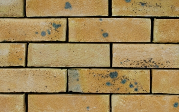 London Yellow Stock bricks